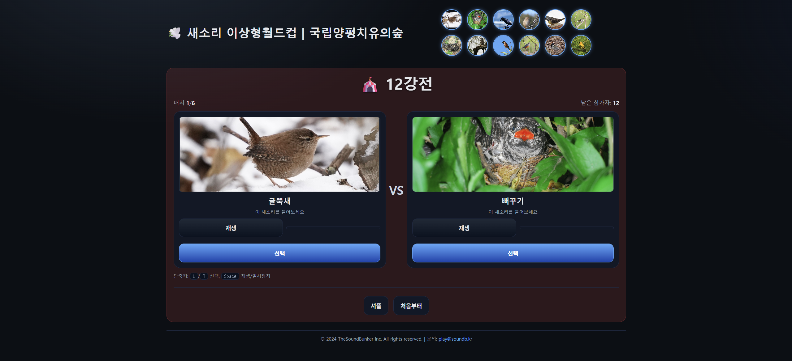 새소리 이상형 월드컵